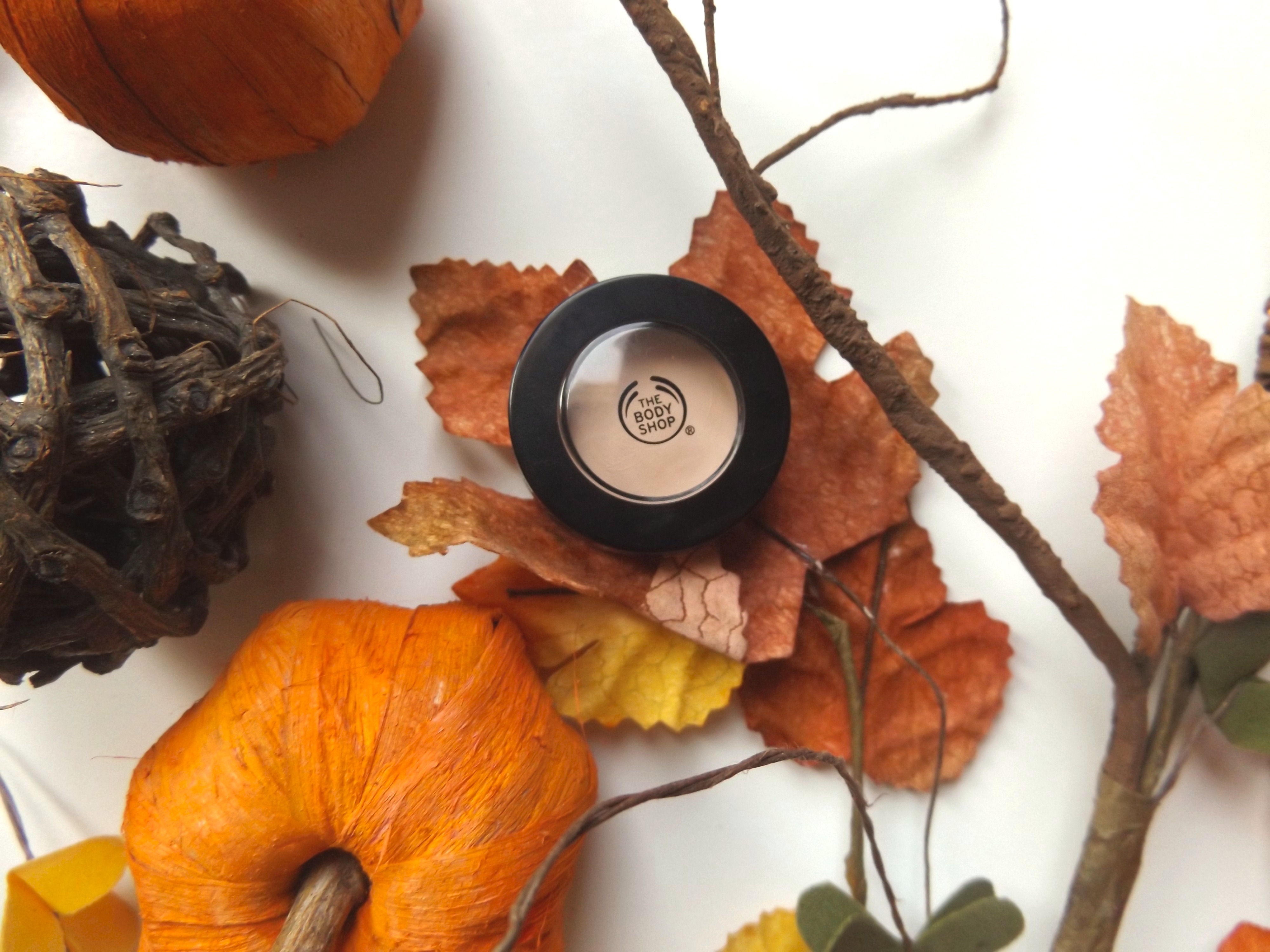 The body shop concealer